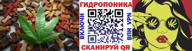 как найти закладки  Цоци-Юрт  Еда ТГК конопля 