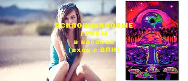 стафф Володарск