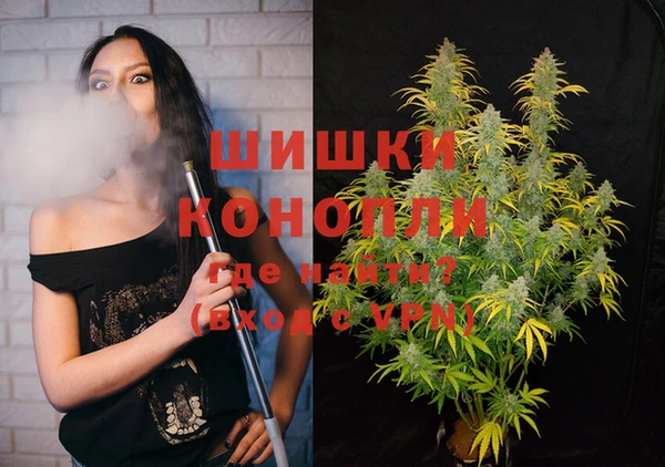 дмт Верея