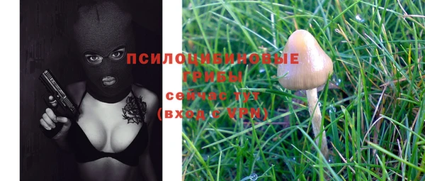 сатива Верхнеуральск