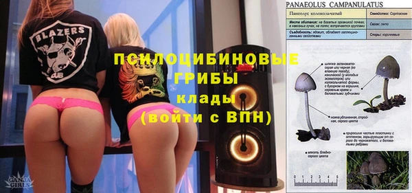 стафф Володарск