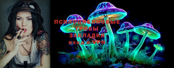 дмт Верея