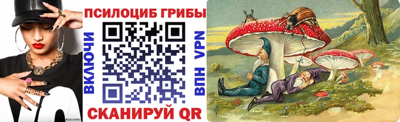 Псилоцибиновые грибы GOLDEN TEACHER  Цоци-Юрт 