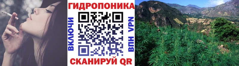 Канабис Ganja  закладка  Цоци-Юрт 